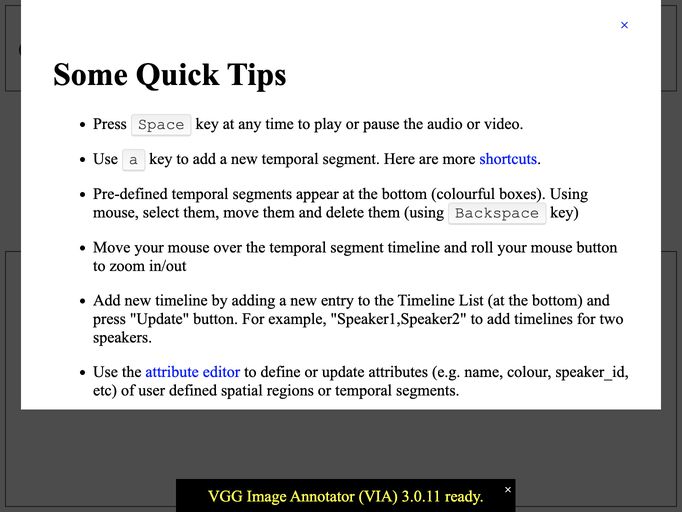 screenshot of VGG Image Annotator (VIA)